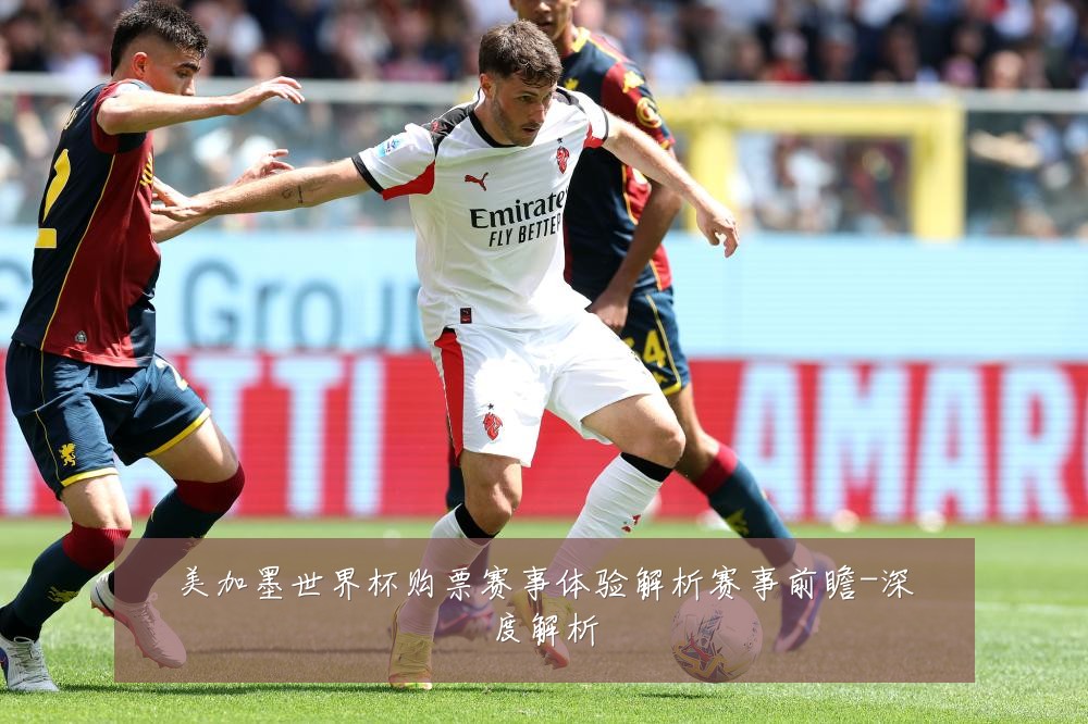 美加墨世界杯购票赛事体验解析赛事前瞻-深度解析
