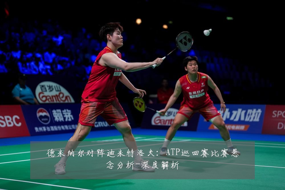 德米纳尔对阵迪米特洛夫:ATP巡回赛比赛悬念分析-深度解析